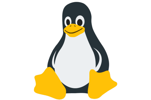 Linux System Computers